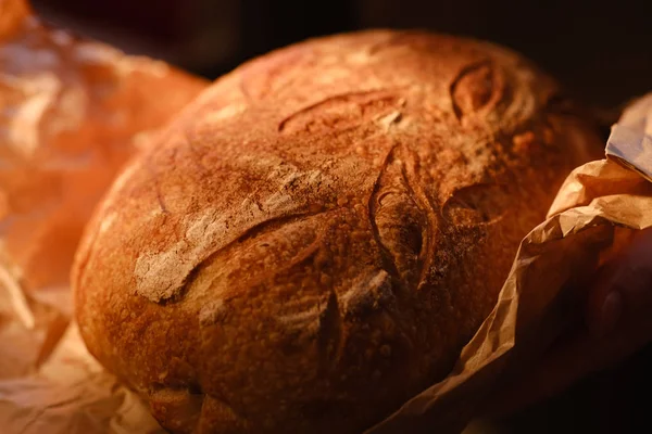 Разнообразие Свежего Хлеба — стоковое фото
