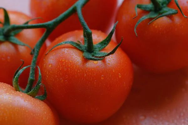 Vue Rapprochée Des Tomates Sur Branche — Photo