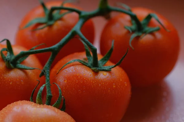 Vue Rapprochée Des Tomates Sur Branche — Photo