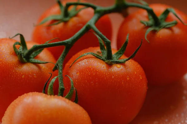 Vue Rapprochée Des Tomates Sur Branche — Photo