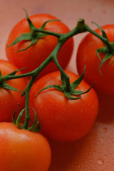 Vue Rapprochée Des Tomates Sur Branche — Photo