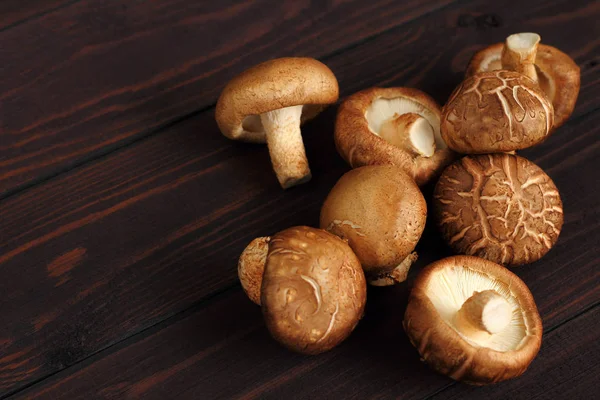 Shiitake je houby pro syrové potraviny. Royalty Free Stock Obrázky