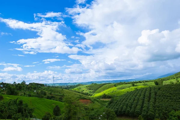 Bakış açısı doğa ve manzara