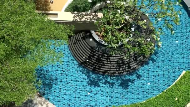 Top view outdoor pool pond and fountain amid tropical garden — Stock Video