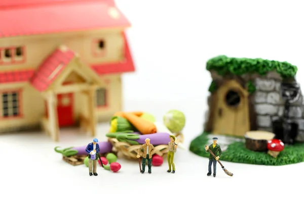 Miniaturmenschen: Bauerngärtner im Einsatz bei Markt, Bauernmarkt und Bauernmarkt — Stockfoto