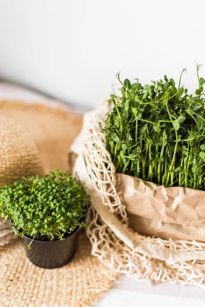 Mikrozöldségek termesztése az egészséges salátáért. Egyél rendesen, ragaszkodj a fiatal és modern konyha koncepciójához. Ecofrendli és szuperkaja. Nyers élelmiszer — Stock Fotó
