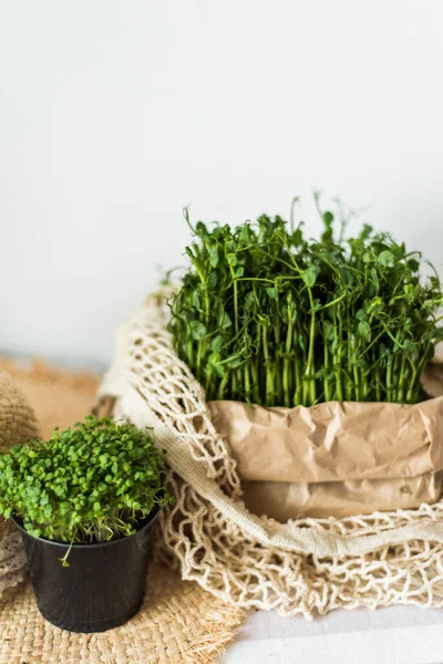 Вирощувати паростки мікрозелені для здорового салату. Їж правильно, дотримуйся концепції молодої і сучасної кухні. Екофранклі та суперпродукти. Сира їжа Ліцензійні Стокові Фото