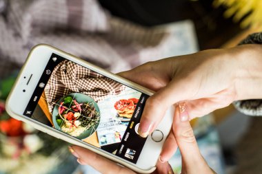 Grow sprouts of micro greens for a healthy salad. Eat right, stick to the concept of a young and modern kitchen. Ecofrendli and superfood. Raw food