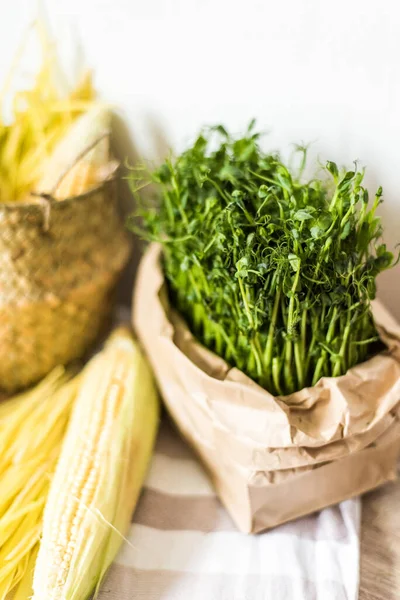 Tumbuh dari sayuran mikro untuk salad yang sehat. Makan yang benar, tetap berpegang pada konsep dapur muda dan modern. Ecofrendli dan makanan super. Makanan mentah — Stok Foto