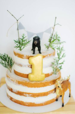 Birthday Cake For A One Year Celebration