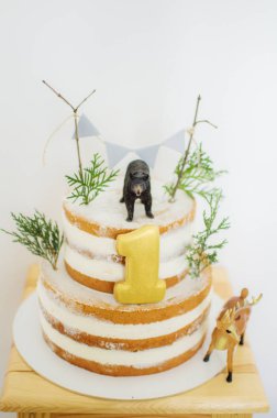 Birthday Cake For A One Year Celebration