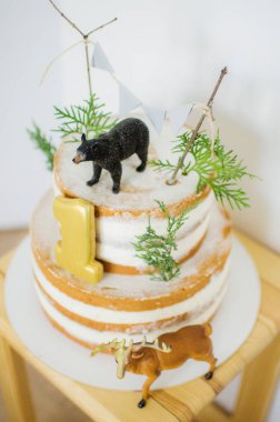 Birthday Cake For A One Year Celebration