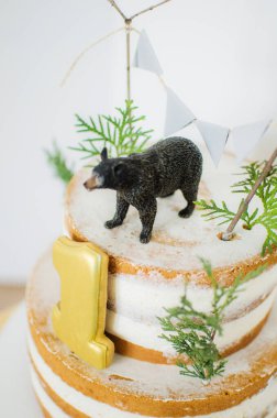 Birthday Cake For A One Year Celebration