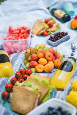 Açık piknik sepeti, meyve, salata ve vişneli turta ile çimenlerin üzerinde yaz pikniği.