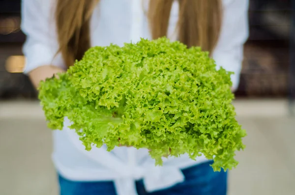 Egészséges vegetáriánus nő friss biogazdasági salátával a kezében. — Stock Fotó