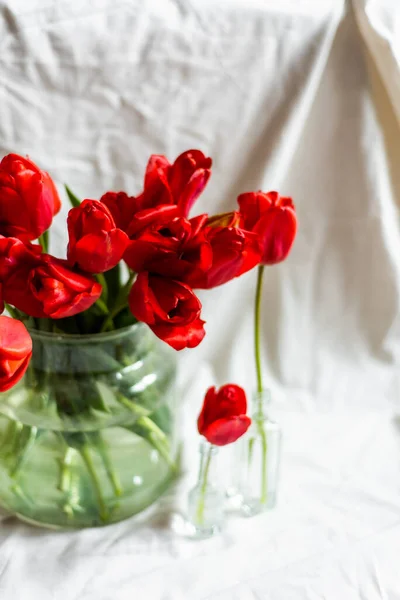 Vaso de vidro com belas tulipas vermelhas no fundo branco — Fotografia de Stock