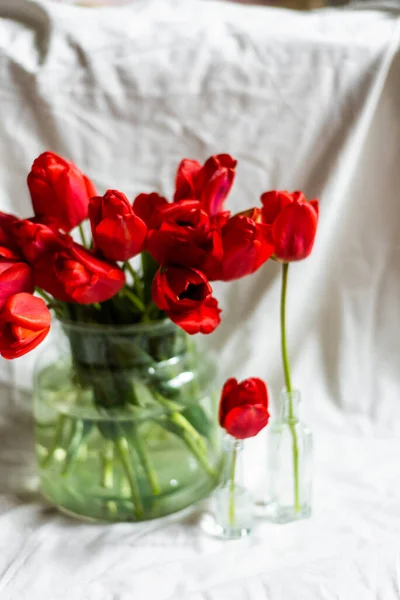 Vaso de vidro com belas tulipas vermelhas no fundo branco — Fotografia de Stock