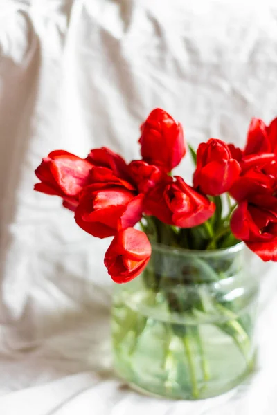 Vaso de vidro com belas tulipas vermelhas no fundo branco — Fotografia de Stock