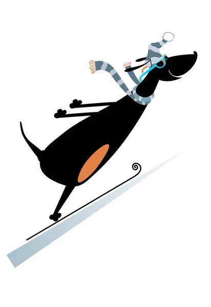 Dog a ski jumper — Stock Vector