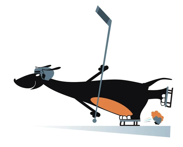 Perro Jugador Hockey Sobre Hielo Aislado Dibujos Animados Dachshund Casco — Vector de stock