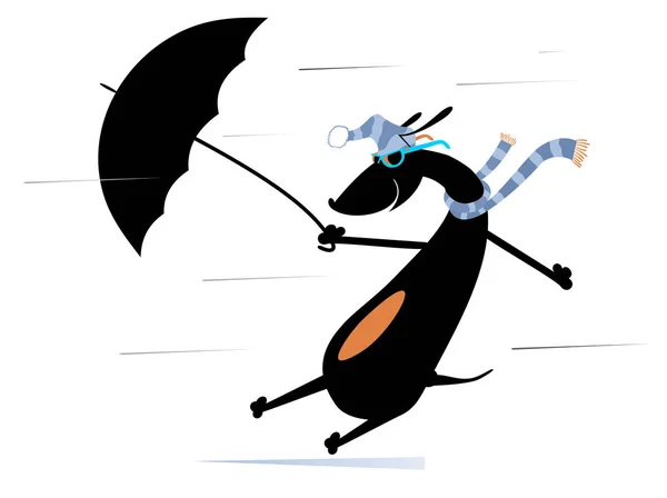 風の強い日と傘のイラストの犬 白いイラストに孤立した強い風の上に傘のある漫画のダックスフント — ストックベクタ