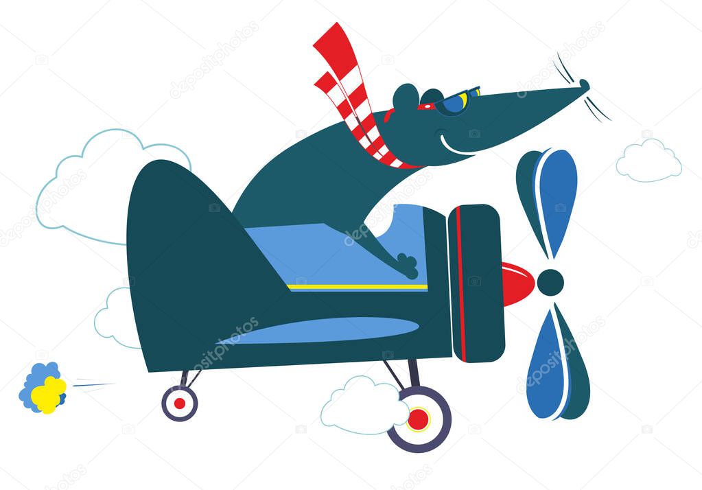 Rat or mouse a pilot on the airplane illustration. Cartoon rat or mouse flies on the airplane isolated on white illustration