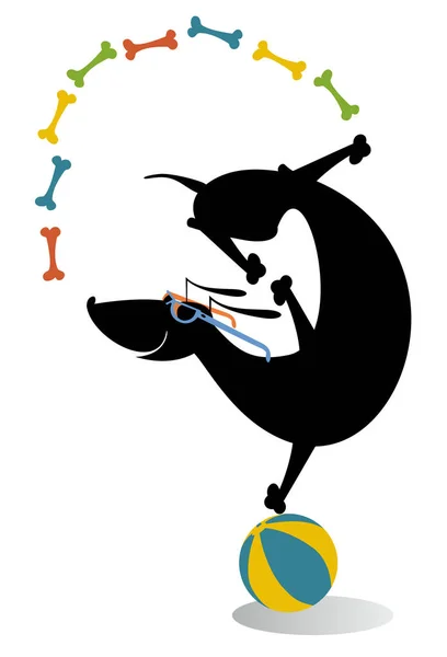 Chien Équilibriste Sur Balle Jongle Avec Illustration Des Drôle Teckel — Image vectorielle
