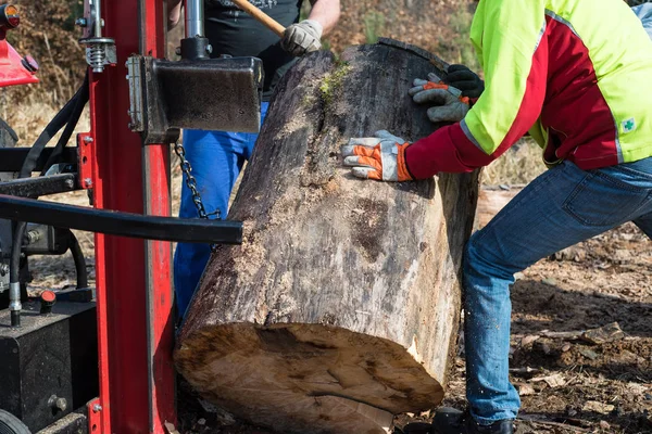 Lumberjacks with hydraulic wood splitter — Stock Photo, Image