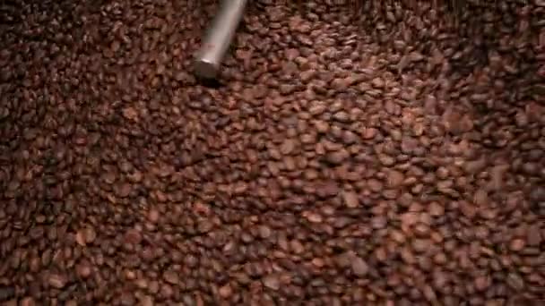 Kühlung von oben Prozess frisch gerösteter Kaffeebohnen. — Stockvideo