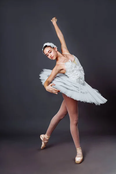 Retrato Clássico Bailarina Ballet Bela Bailarina Graciosa Tutu Branco Prática — Fotografia de Stock