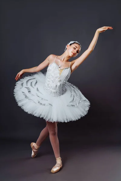 백조의 백조의 스커트를 아름다운 코카서스 발레리나가 발레를 스튜디오 고전적 무희가 — 스톡 사진