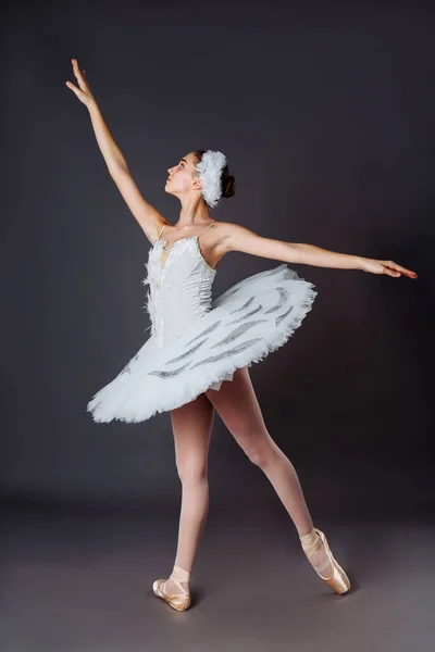 Půvabný Baletní Tanečník Nebo Klasický Baletka Tanec Izolované Šedém Pozadí — Stock fotografie