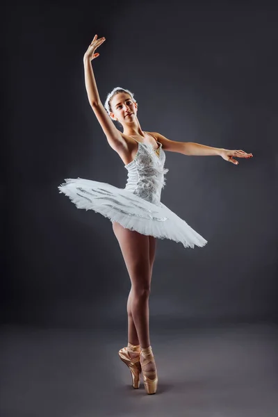 Ritratto Della Ballerina Nel Ruolo Cigno Bianco Sfondo Grigio Bella — Foto Stock