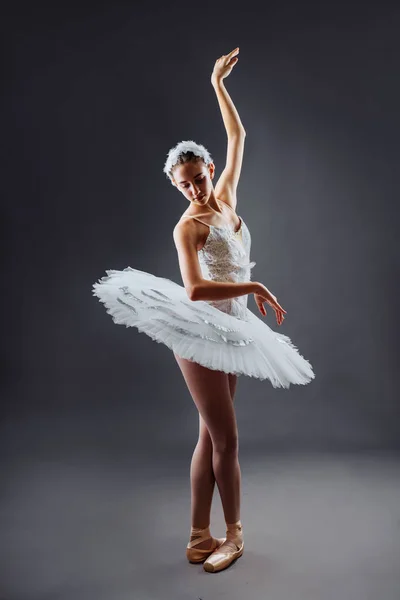 Graceful ballet dancer or classic ballerina dancing isolated on grey studio background. The dance, grace, artist, contemporary, movement, action and motion concept. Swan Lake Costume