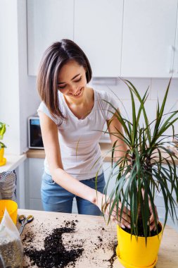 Diş telleriyle gülen güzel bir kız. Kapalı alan çiçeğini yeniden dikiyor. Beyaz bir tişört ve kot pantolon giyip, beyaz bir mutfakta zemini kirletiyor. Toprak döküyor, düzleştiriyor, tahrif ediyor. Bitkisiyle ilgileniyor.