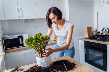 Diş telleriyle gülen güzel bir kız. Kapalı alan çiçeğini yeniden dikiyor. Beyaz bir tişört ve kot pantolon giyip, beyaz bir mutfakta zemini kirletiyor. Toprak döküyor, düzleştiriyor, tahrif ediyor. Bitkisiyle ilgileniyor.