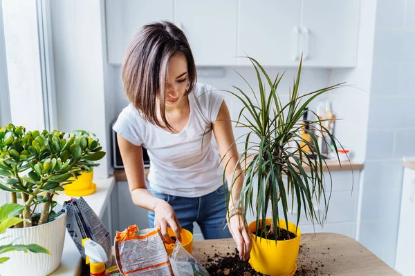 Lovely girl replanting flowers at home, relaxing after working day. Pouring the ground and fertilizer from the packaging, mixing it with her hands and putting to the pot. Beautiful, big, green flower