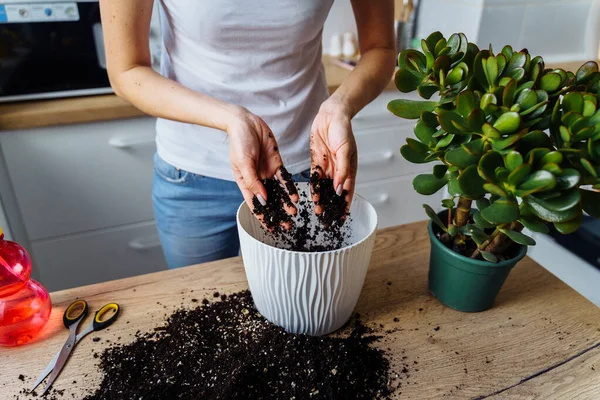 Menina Encantadora Replantar Flores Casa Relaxante Após Dia Trabalho Despejando — Fotografia de Stock