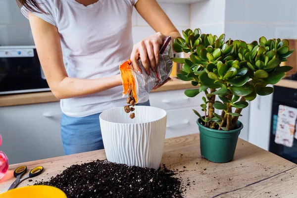 Menina Encantadora Replantar Flores Casa Relaxante Após Dia Trabalho Despejando — Fotografia de Stock