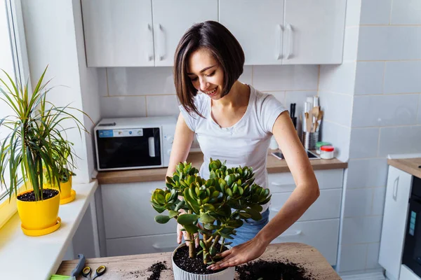 Beautiful smiling girl with braces replanting a indoor flower. Wearing a white T-shirt and blue jeans, messing with the ground in a white kitchen - pouring dirt, leveling, tamping. Caring of her plant