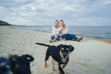 Deniz kenarında kumların üzerinde oturan güzel, çekici bir çift. Kocaman, öpüşen, köpekleri okşayan ve gülen. Ön planda koşan, birbirini ısıran ve rahatsız eden komik, tüylü köpekler var..