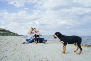 Deniz kenarında kumların üzerinde oturan güzel, çekici bir çift. Kocaman, öpüşen, köpekleri okşayan ve gülen. Ön planda koşan, birbirini ısıran ve rahatsız eden komik, tüylü köpekler var..