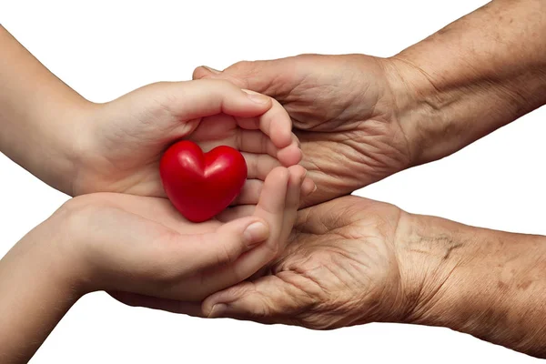 Little girl and elderly woman keeping red heart in their palms t — Stock Photo, Image
