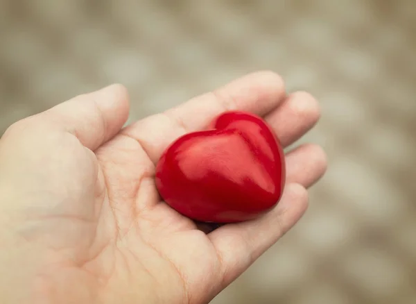 Young woman holds out a red heart in her hand, concept of love — Stock Photo, Image