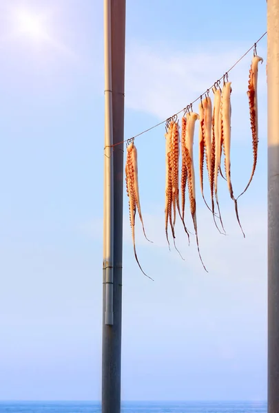 Drying octopus arms on sea coast, Greece — Stock Photo, Image