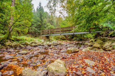 doğal ahşap köprü