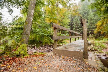 doğal ahşap köprü