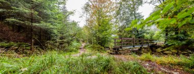 doğal ahşap köprü