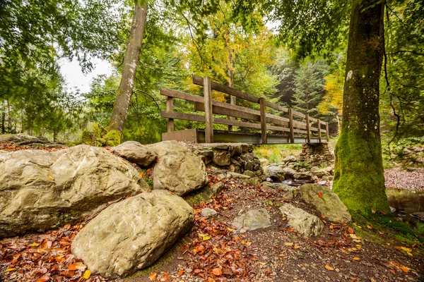 Ponte de madeira na natureza — Fotografia de Stock