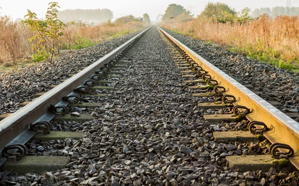 Eisenbahn auf dem Feld — Stockfoto